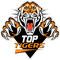 Top Tigers (Люберцы)